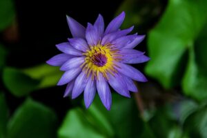 G88bade8dd60586048aa7c9deaf90fda4f5cc2f2095cbb9aaa1e1698b3907be81d8ec79946eae482fa93df9fd0c957f51e6fbee61ac834c982ddcb55c1b5a9552 640