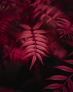 Image partnershippotential.co.uk 873 1746006178751